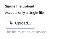 Single file upload field