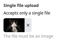 Single file upload field with a file uploaded