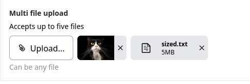 Multi file upload field with files uploaded